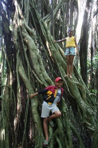 Banyan Tree