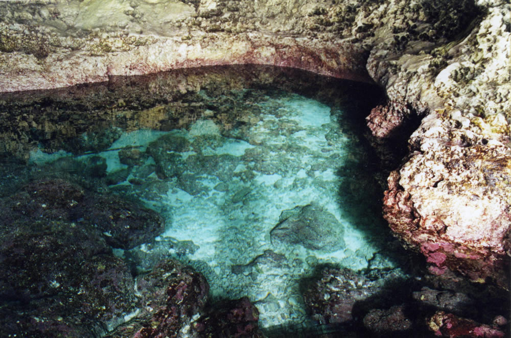 Gallery | Mauke – The Cook Islands South Pacific Paradise